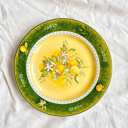 Cerelith Lemon Ceramic Plates Steak Pasta Plate Yogurt Bowl Salad Plate
