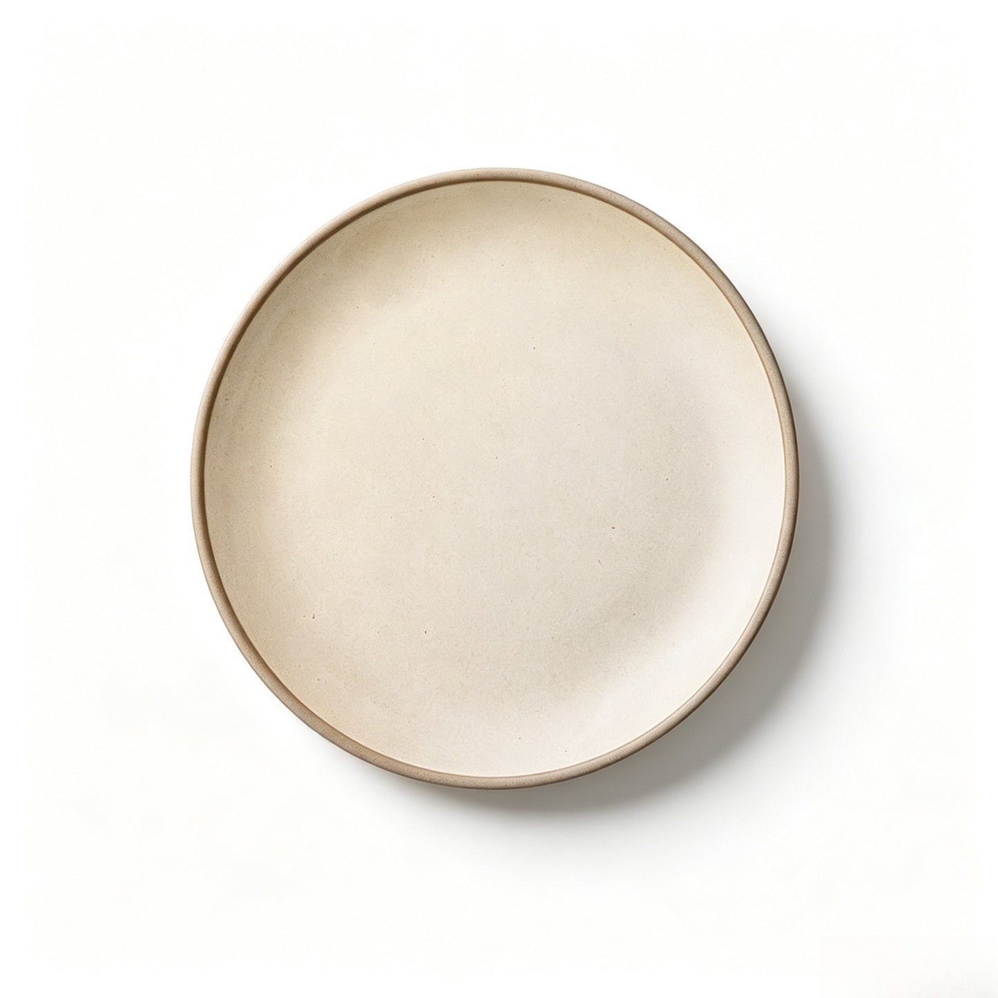 Cerelith Simple Minimalist Style Ceramic Flat Plate for Steak Pasta Flat Plate Fruit Plate