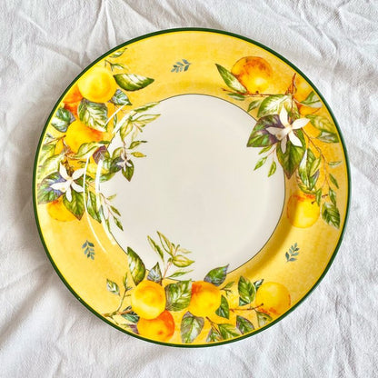Cerelith Lemon Ceramic Plates Steak Pasta Plate Yogurt Bowl Salad Plate